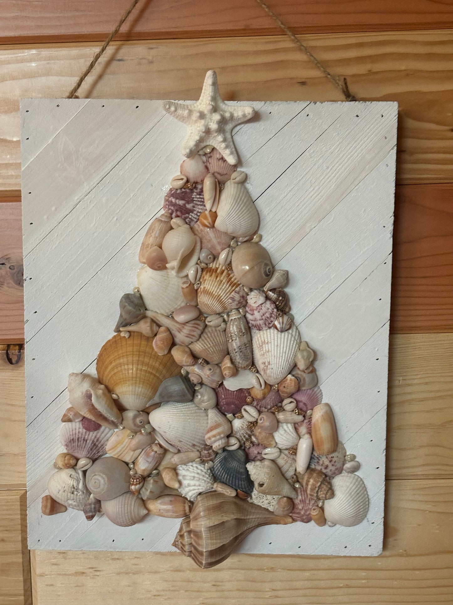 JINGLE SHELLS!