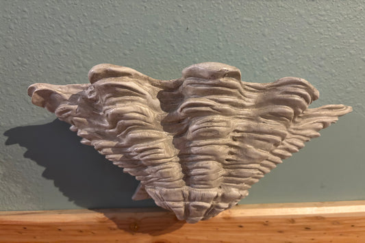 MCM SET OF 2 SHELL PLANTER