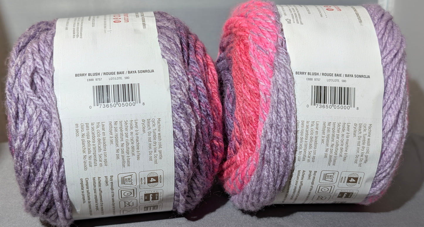 RED HEART YARN CAKE LOT #580