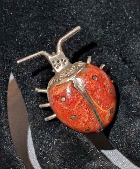 SS RED CORAL LADYBUG