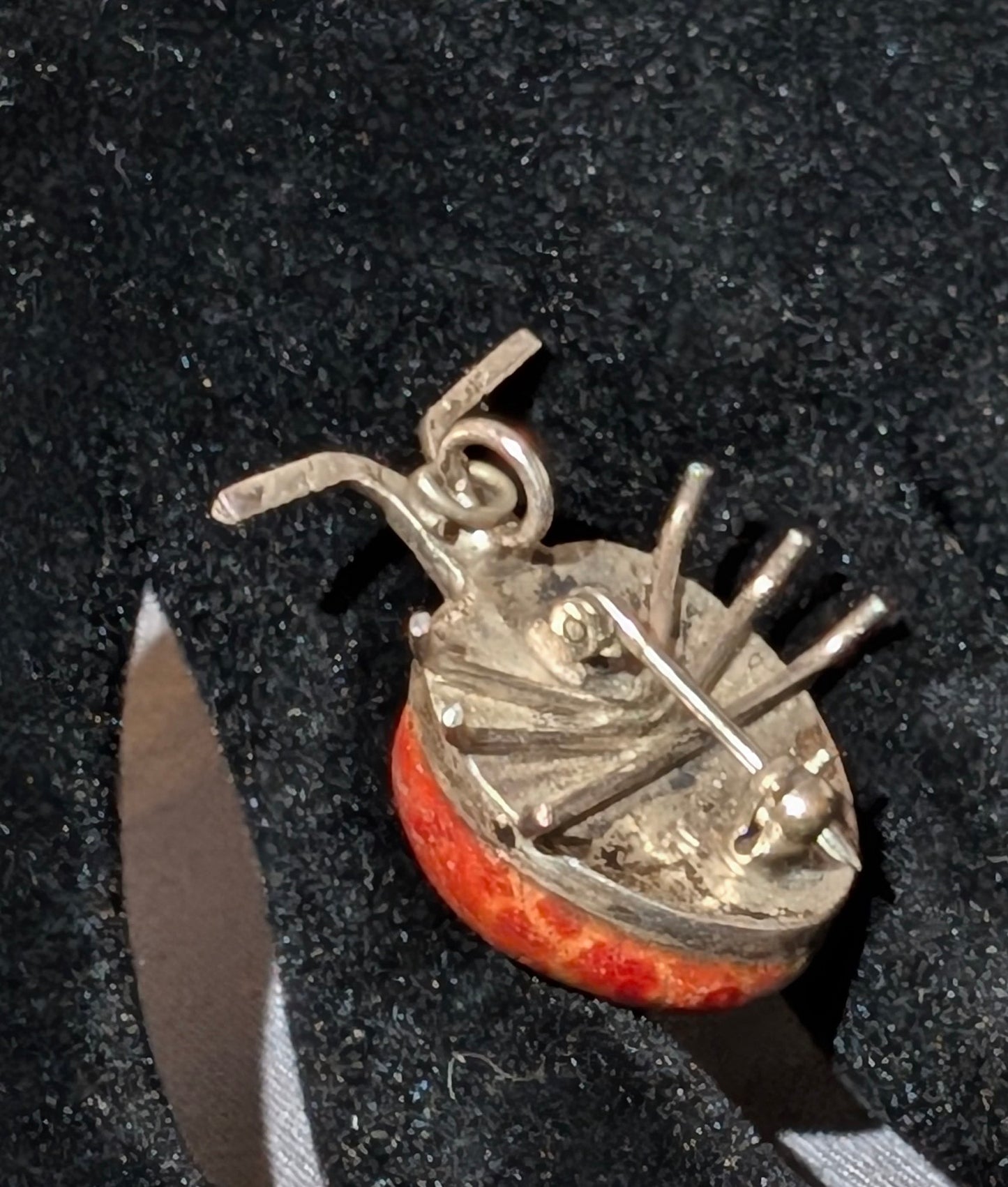 SS RED CORAL LADYBUG
