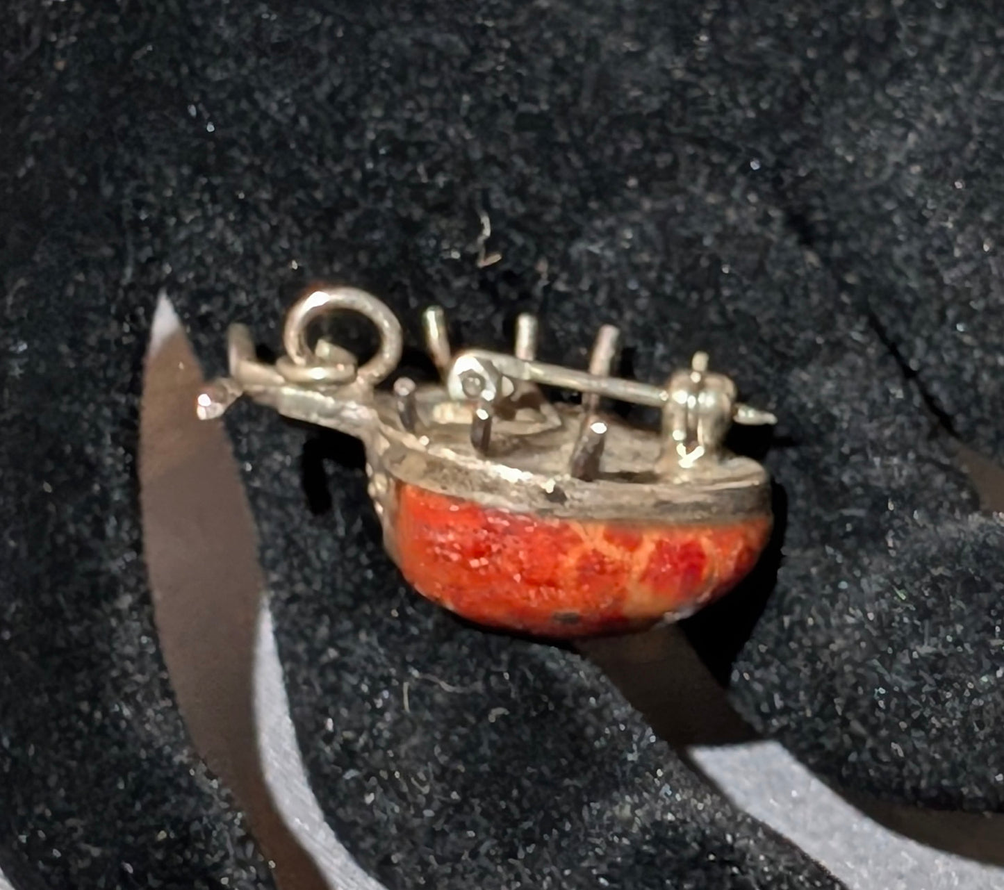 SS RED CORAL LADYBUG