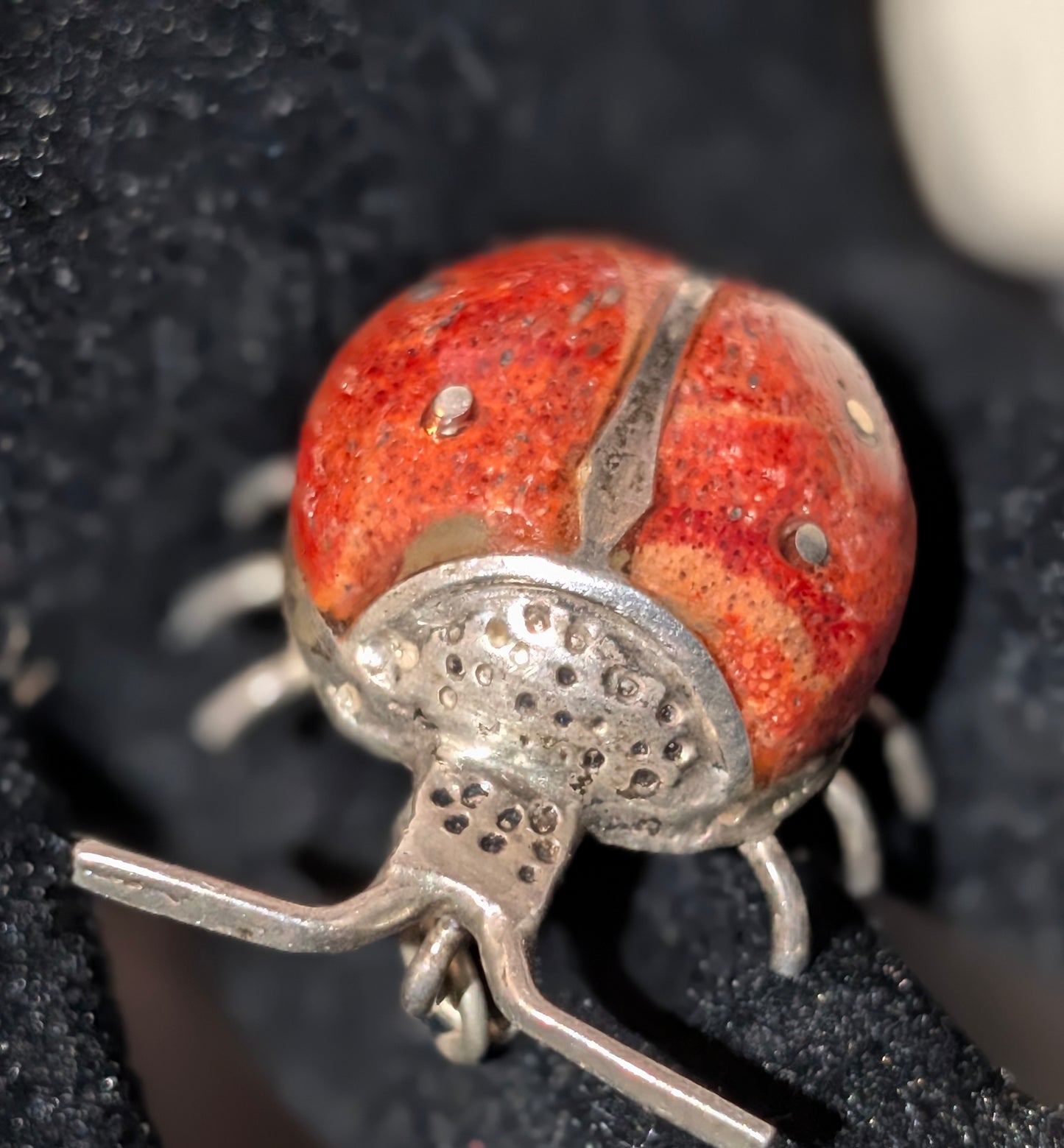 SS RED CORAL LADYBUG