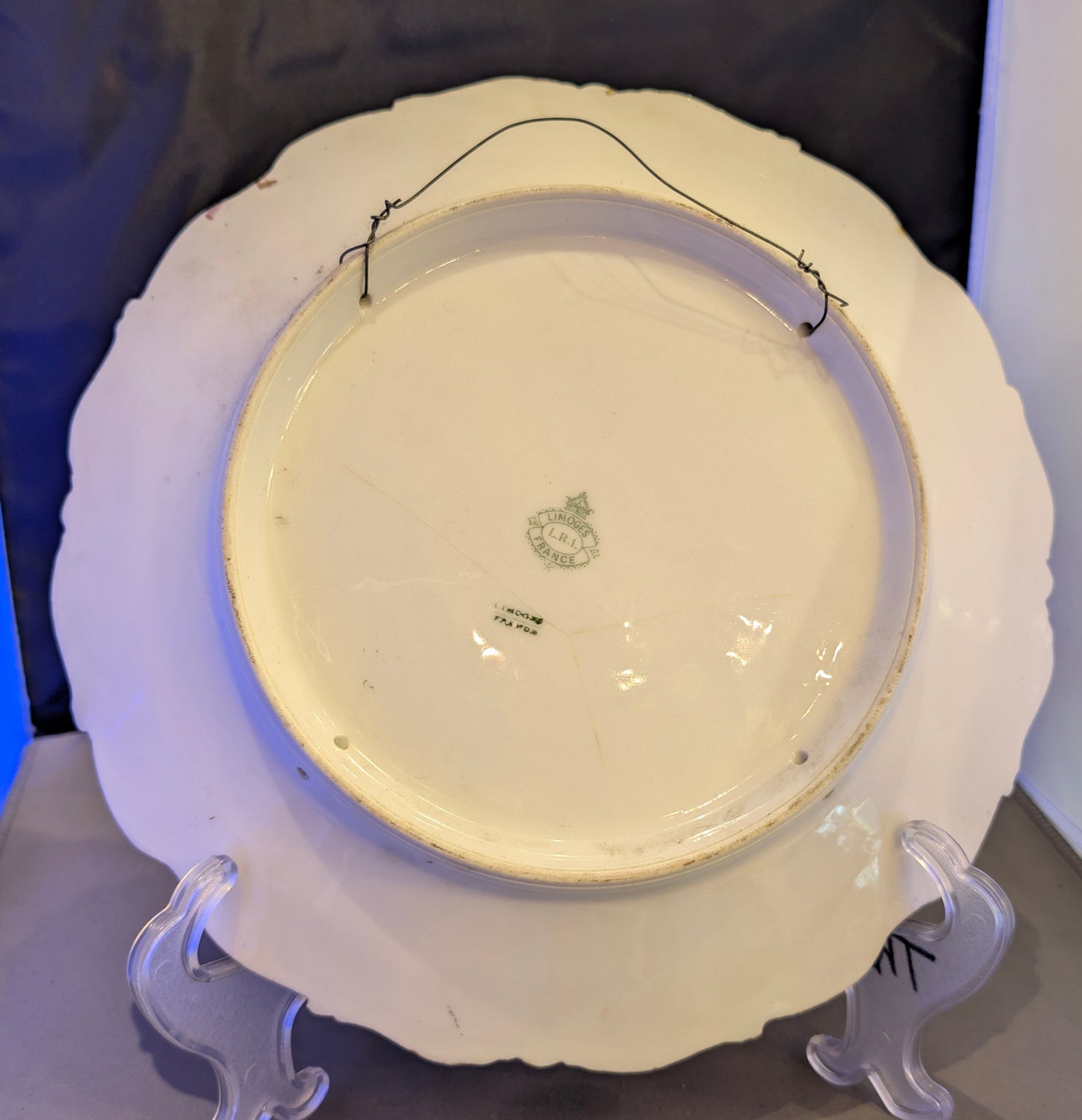 ANTIQUE C. 1920 LIMOGES HAND-PAINTED FISH PLATE