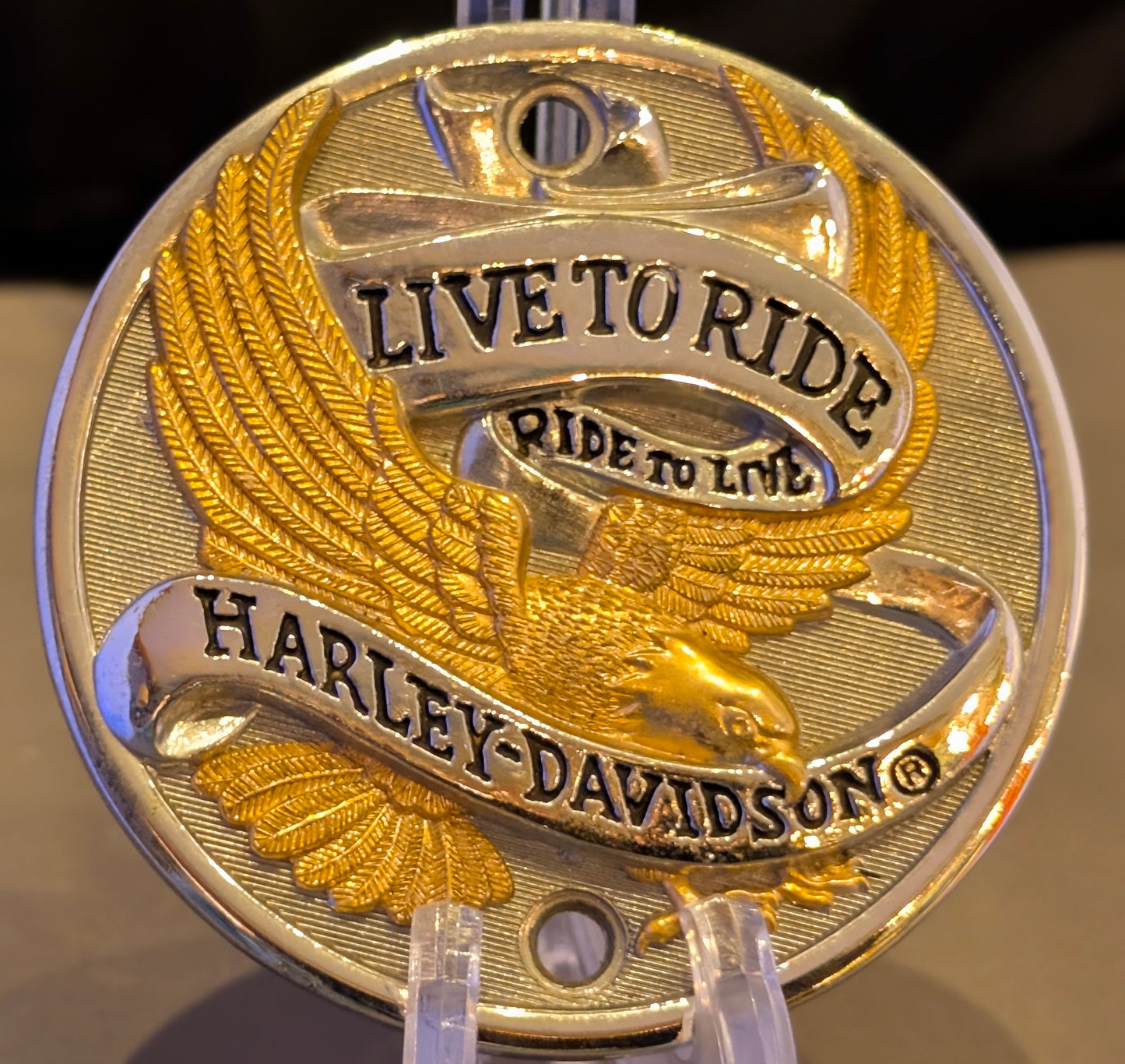 VTG HD EAGLE IRON TIMER COVER